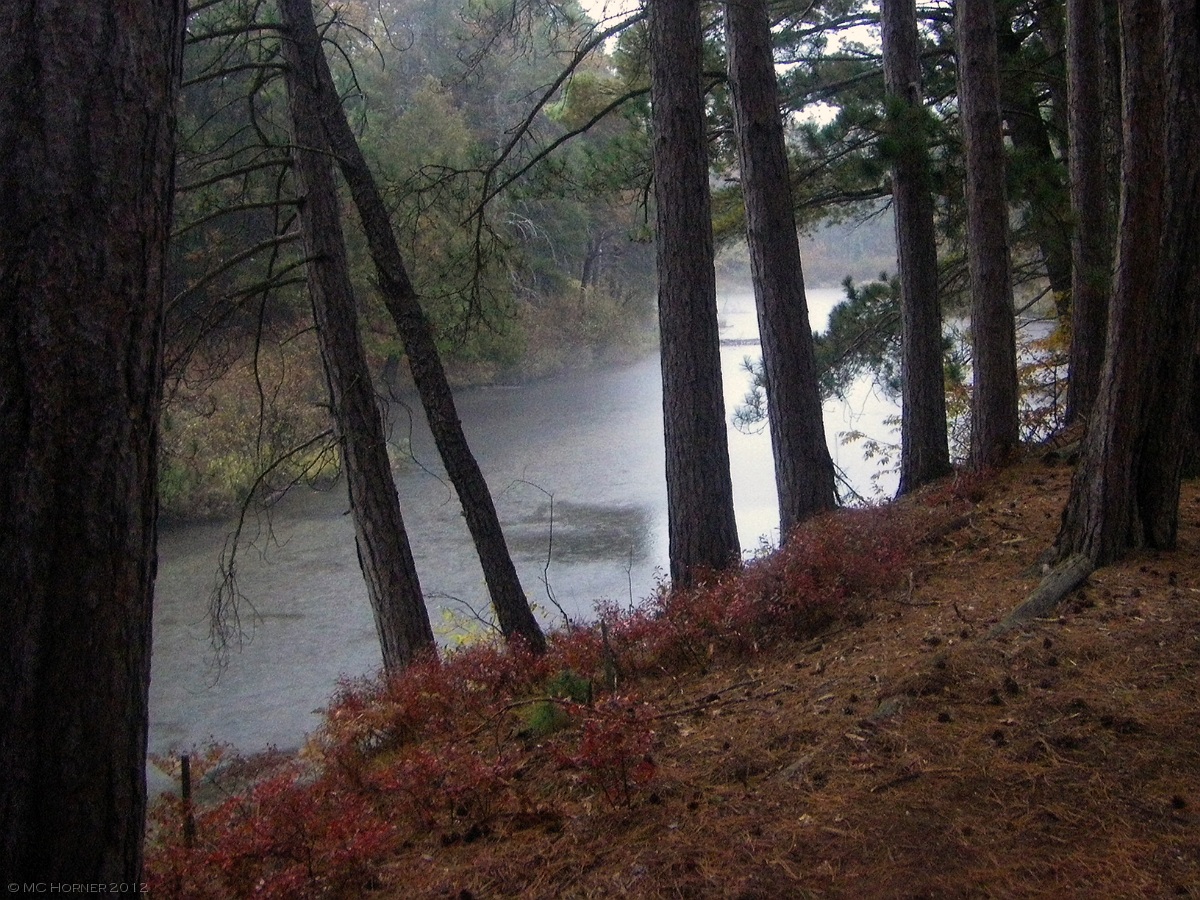 Rain and fog; goodbye summer.