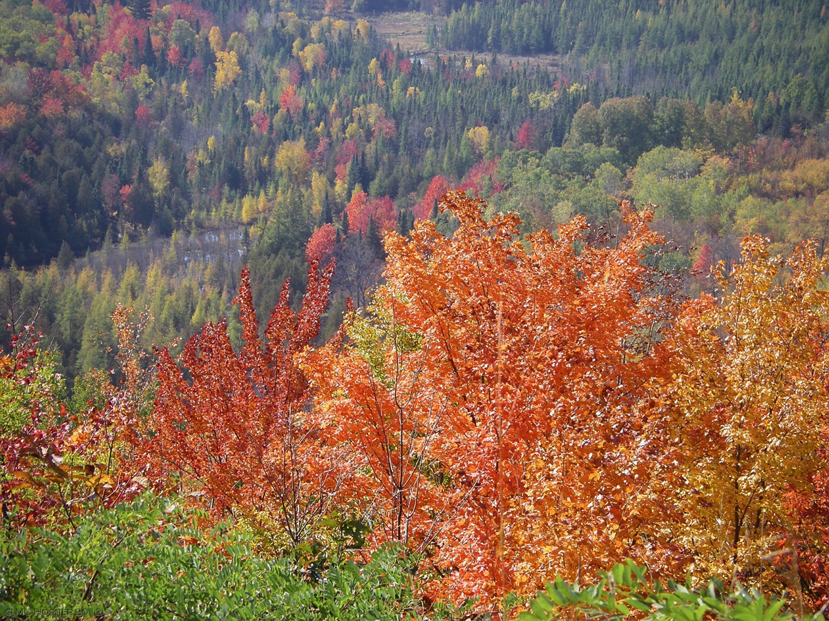 Deadman's Hill overlook.