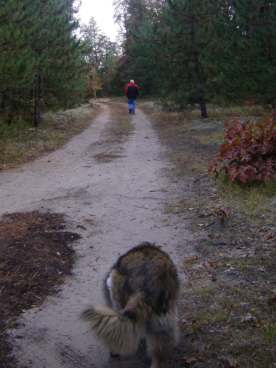 Two old friends out for a walk.