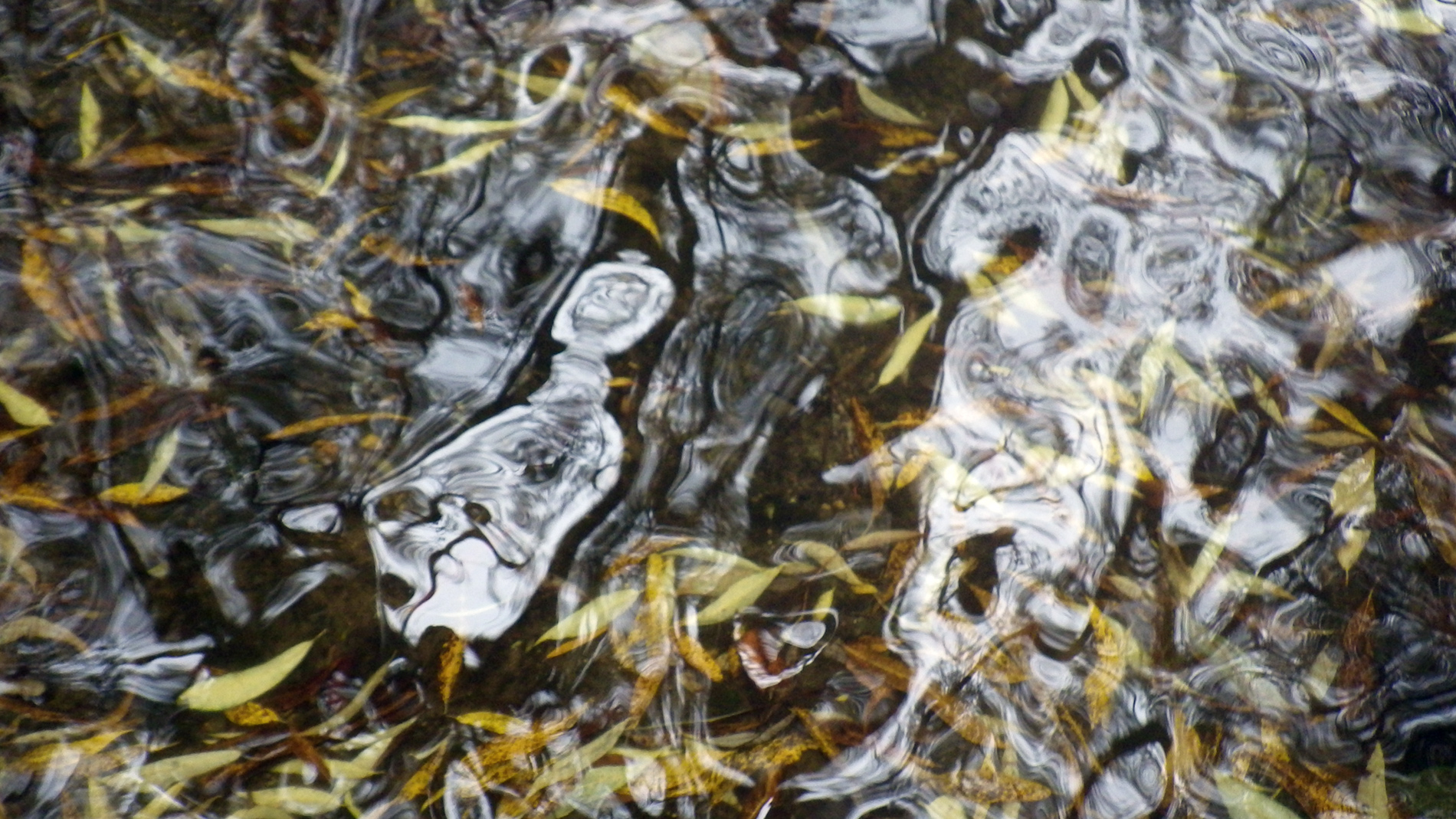 Faces in the water.