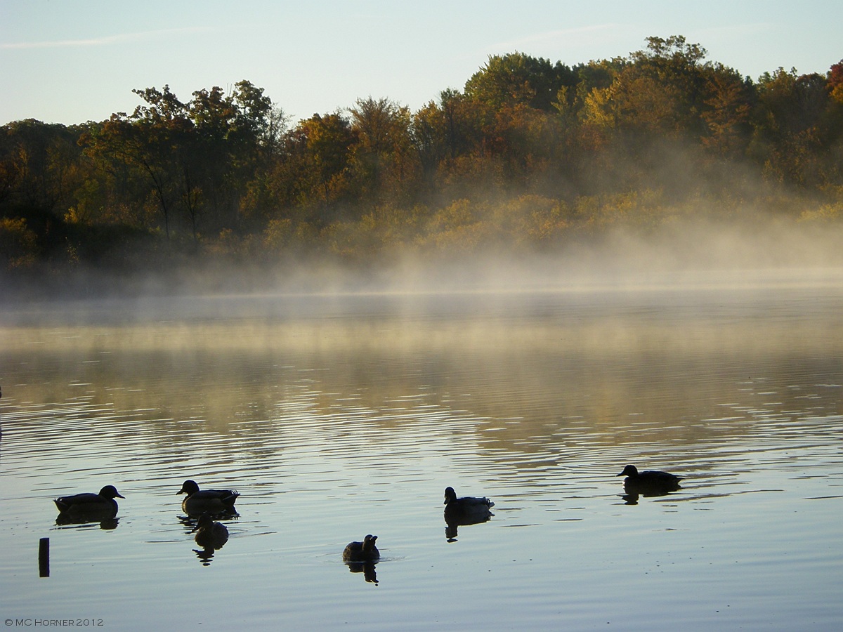 Mid-October morning on Commerce Lake.