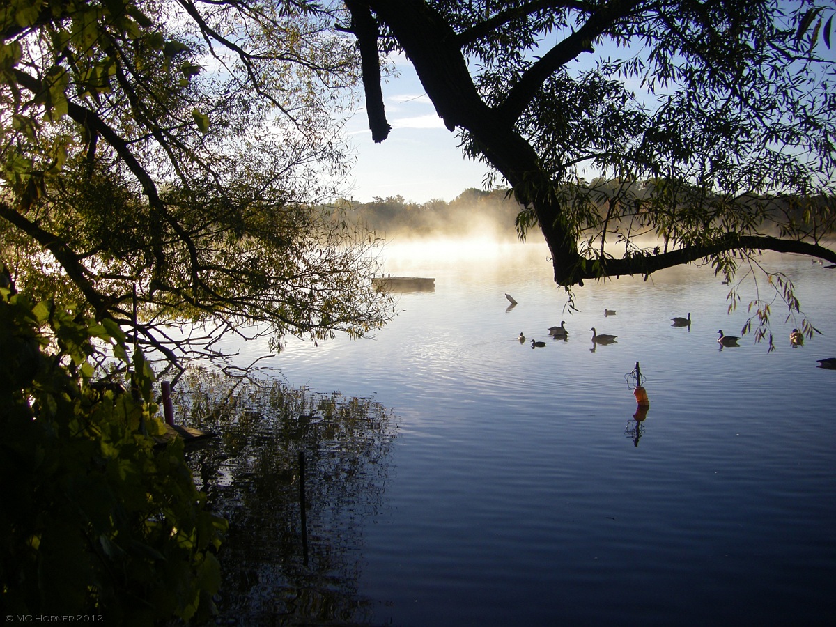 Mid-October morning on Commerce Lake.