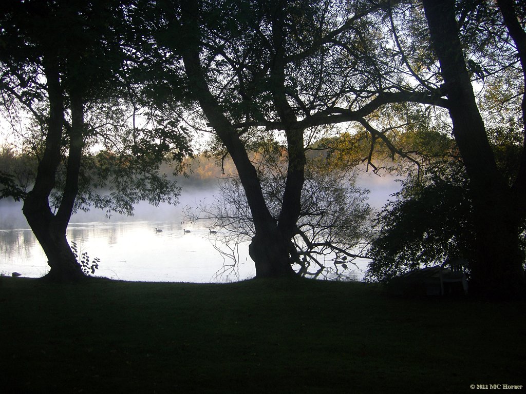 Early morning fog.