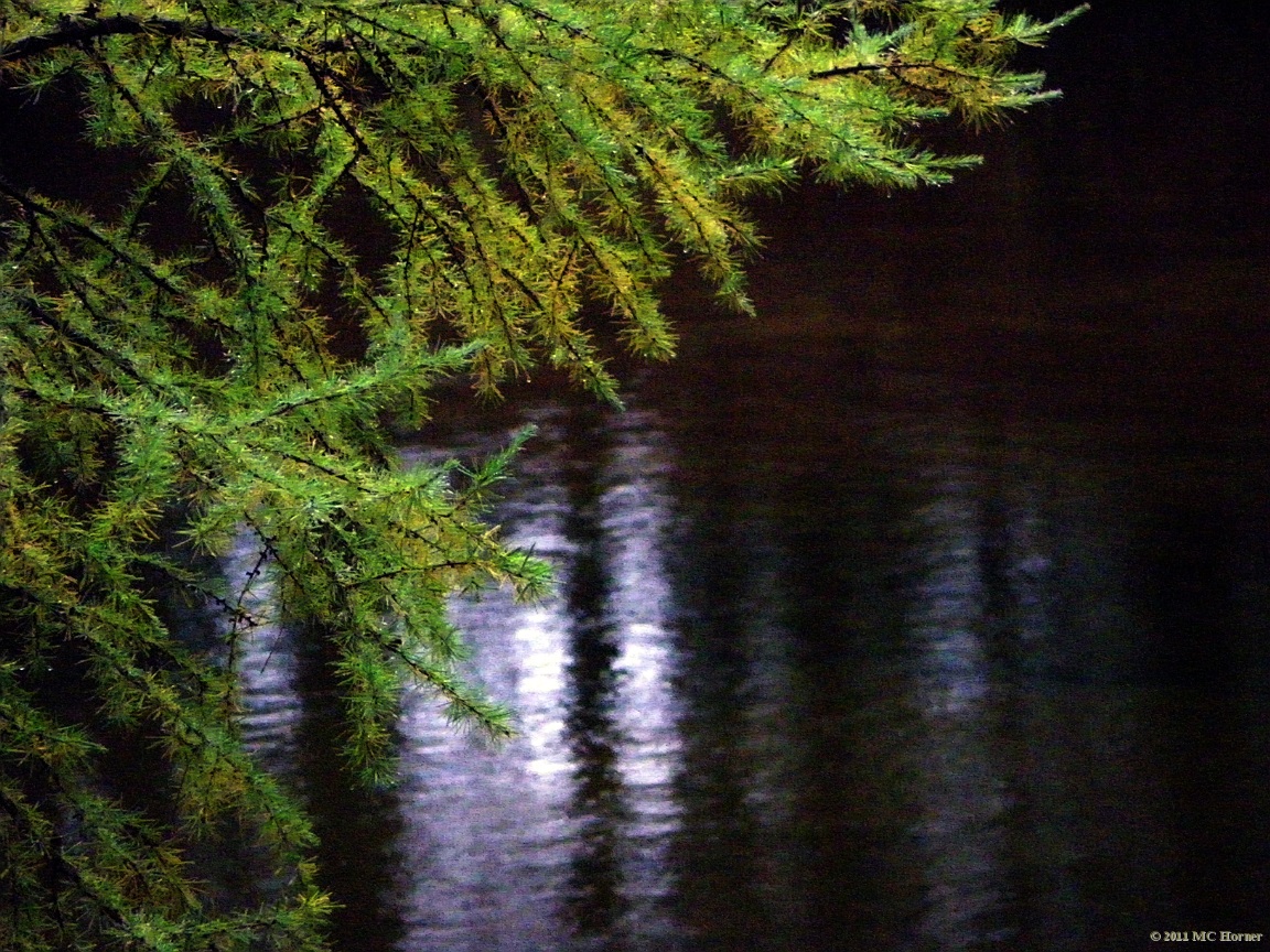 Tamarack, Crawford County, Michigan.