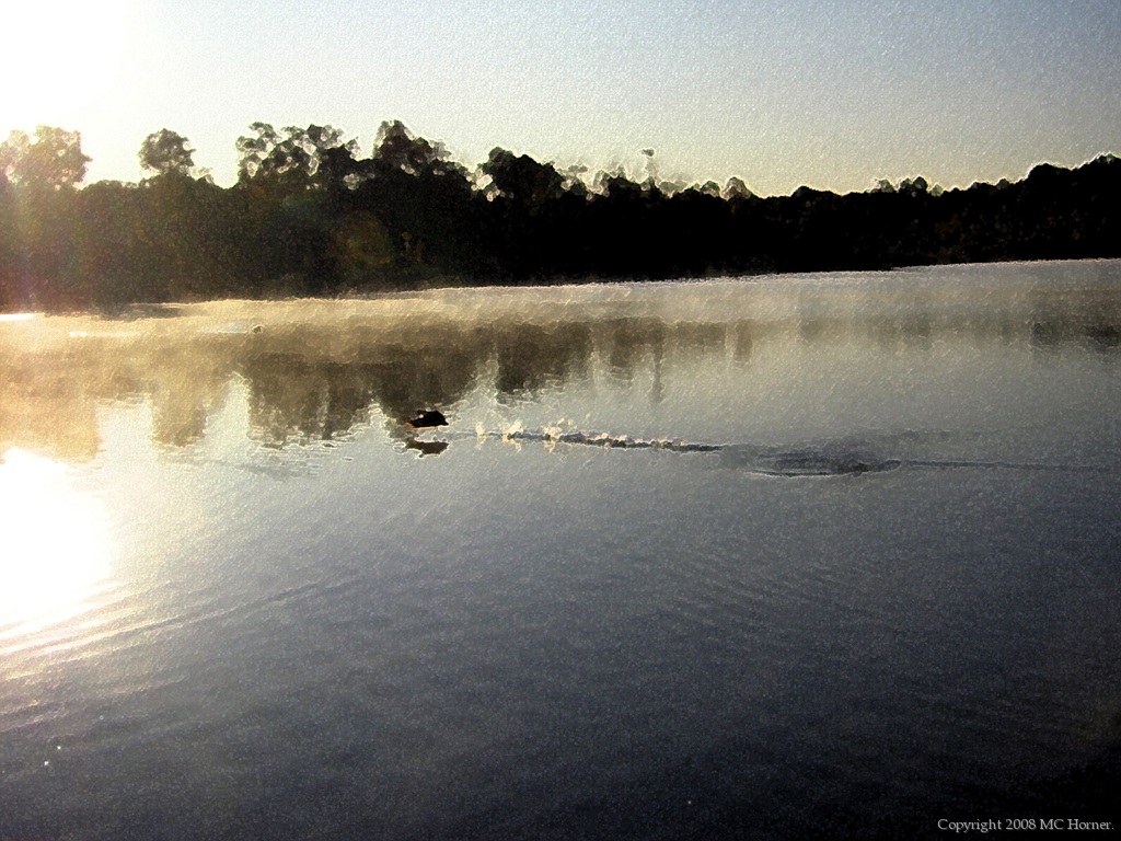 Launch at dawn