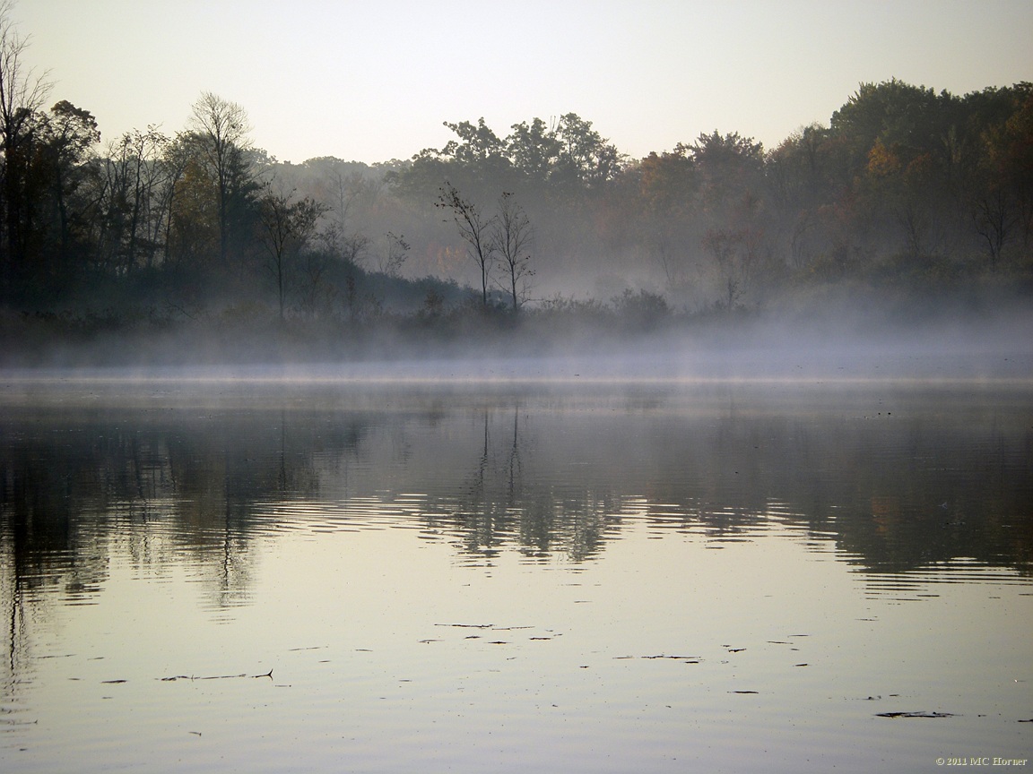 Dawn and fog.