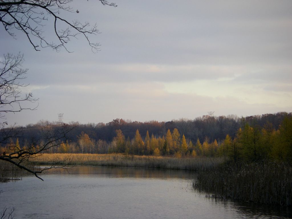 View upriver from the dam.