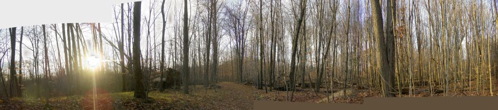 Proud Lake trail pano, looking west. See it huge.