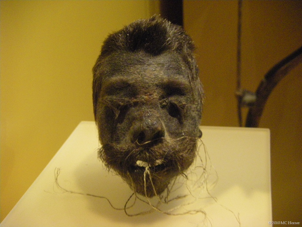 Now, onto a small selection from a couple sections of the rest of the museum. Shrunken head, South American.