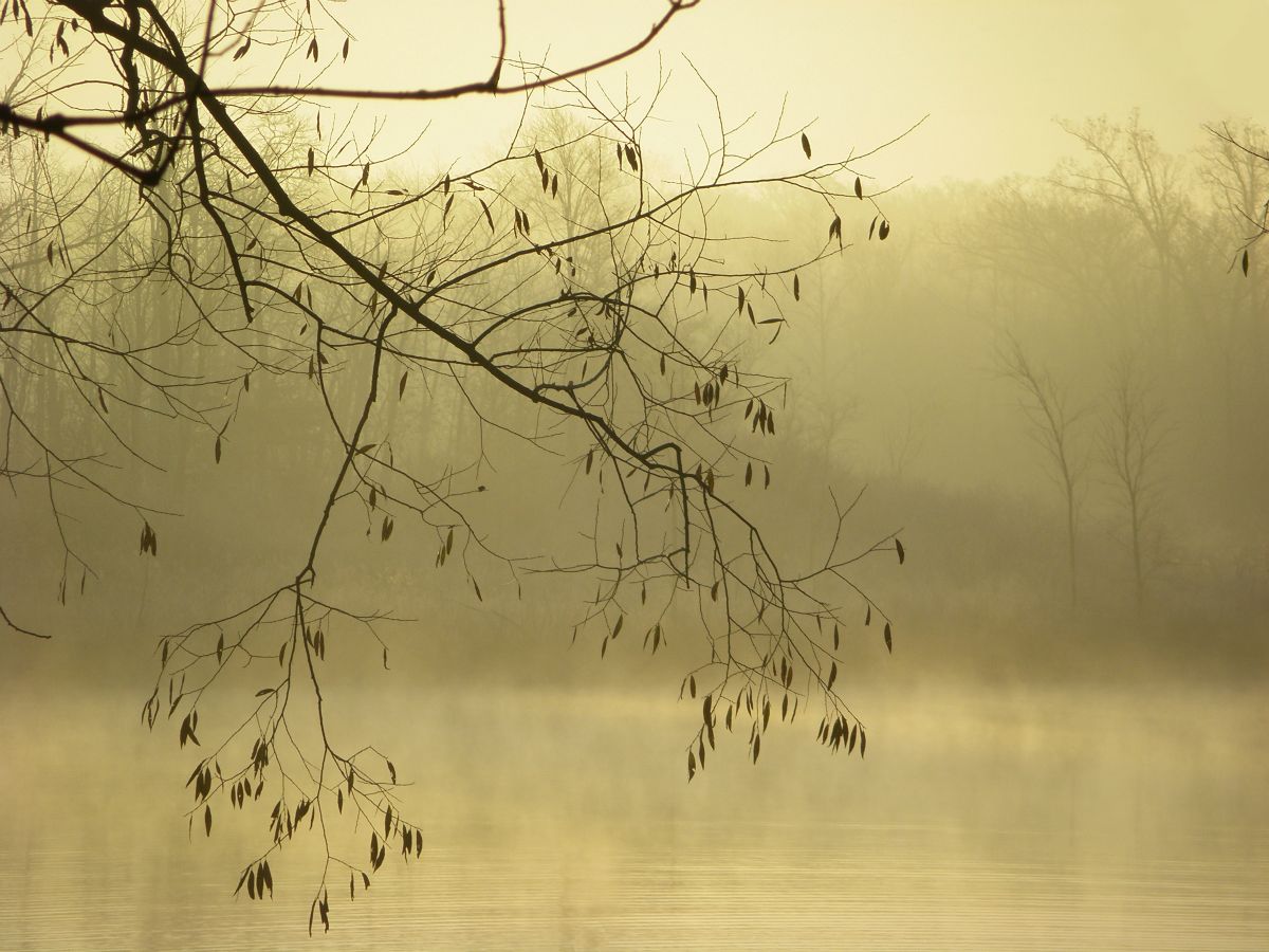 Frost and fog.