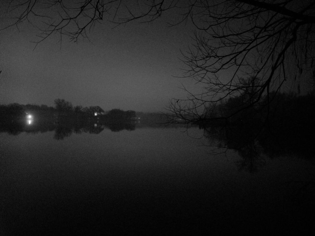 Looking south; Commerce Lake MI.