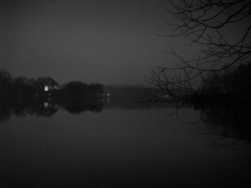 Looking south; Commerce Lake MI.