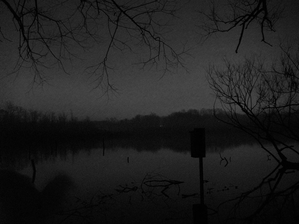 Looking southeast; Commerce Lake MI.