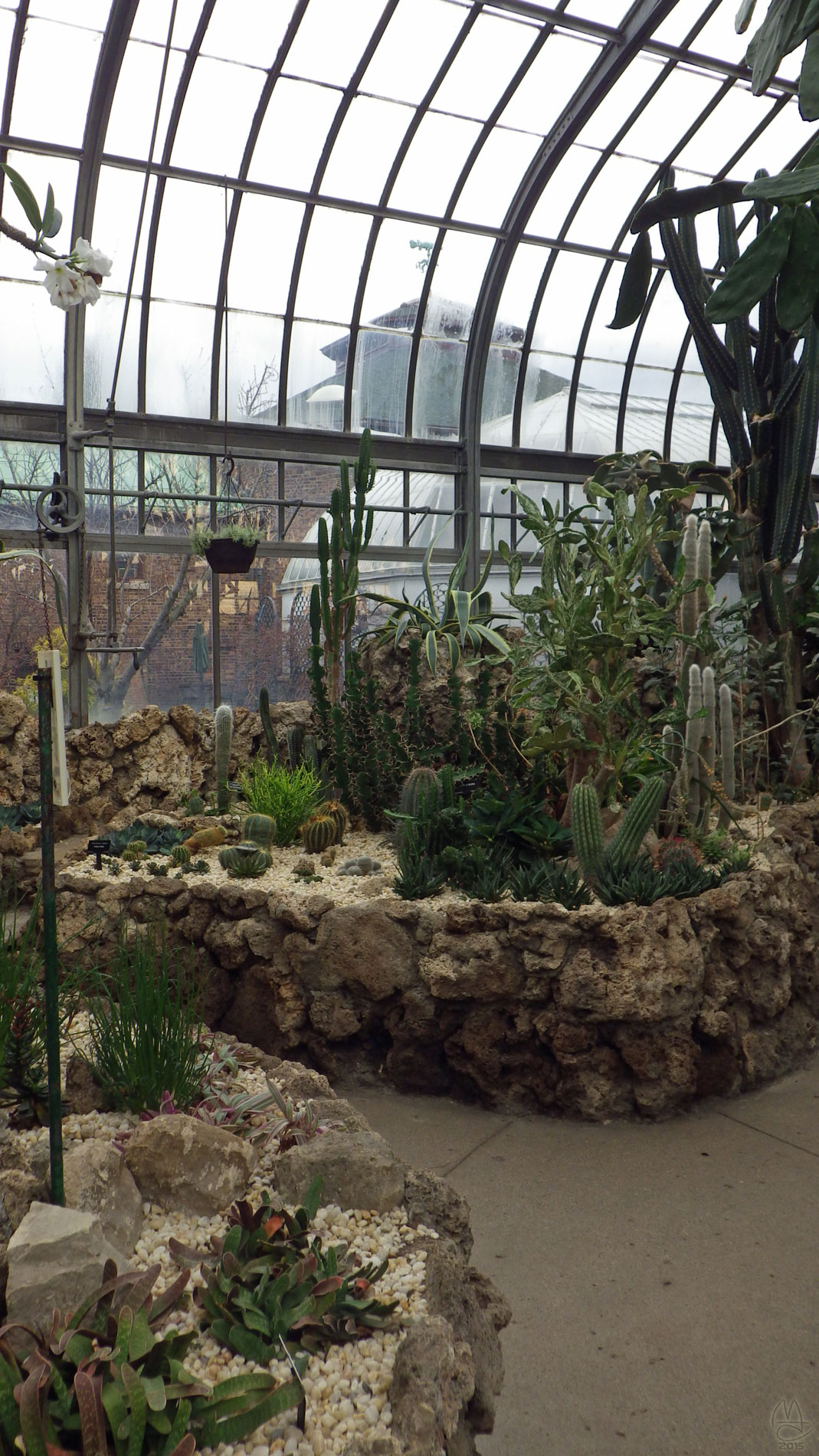 Cactus garden, Anna Scripps Whitcomb Conservatory, Belle Isle