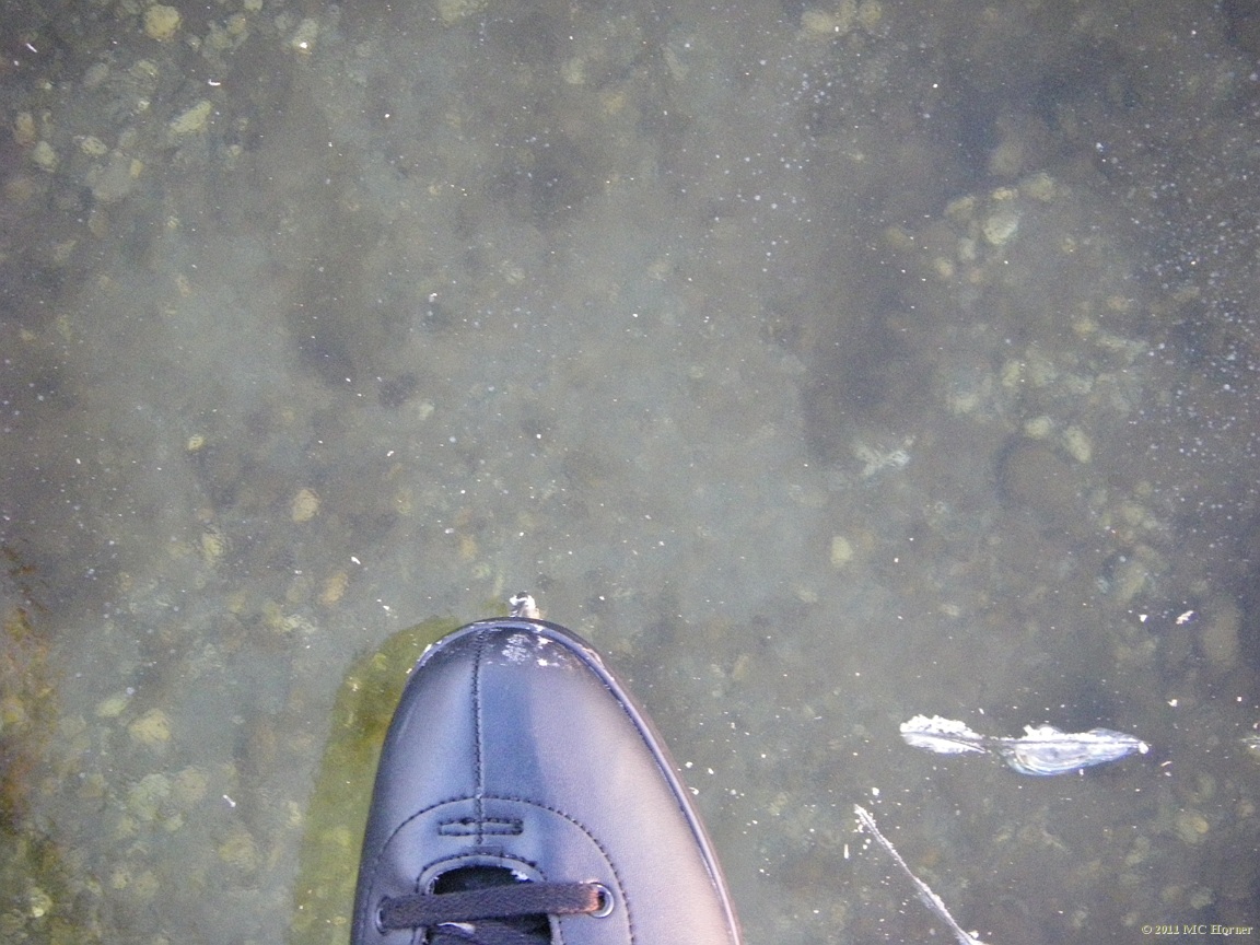 Windowpane Ice. See a video of what it's like to skate on Commerce Lake.(6.4 MB) 