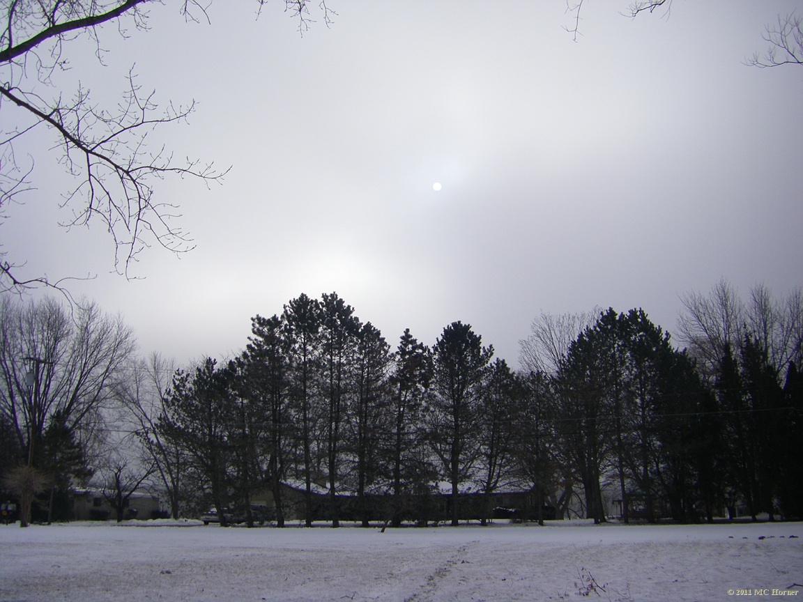 Shady Pines under a dim sun.