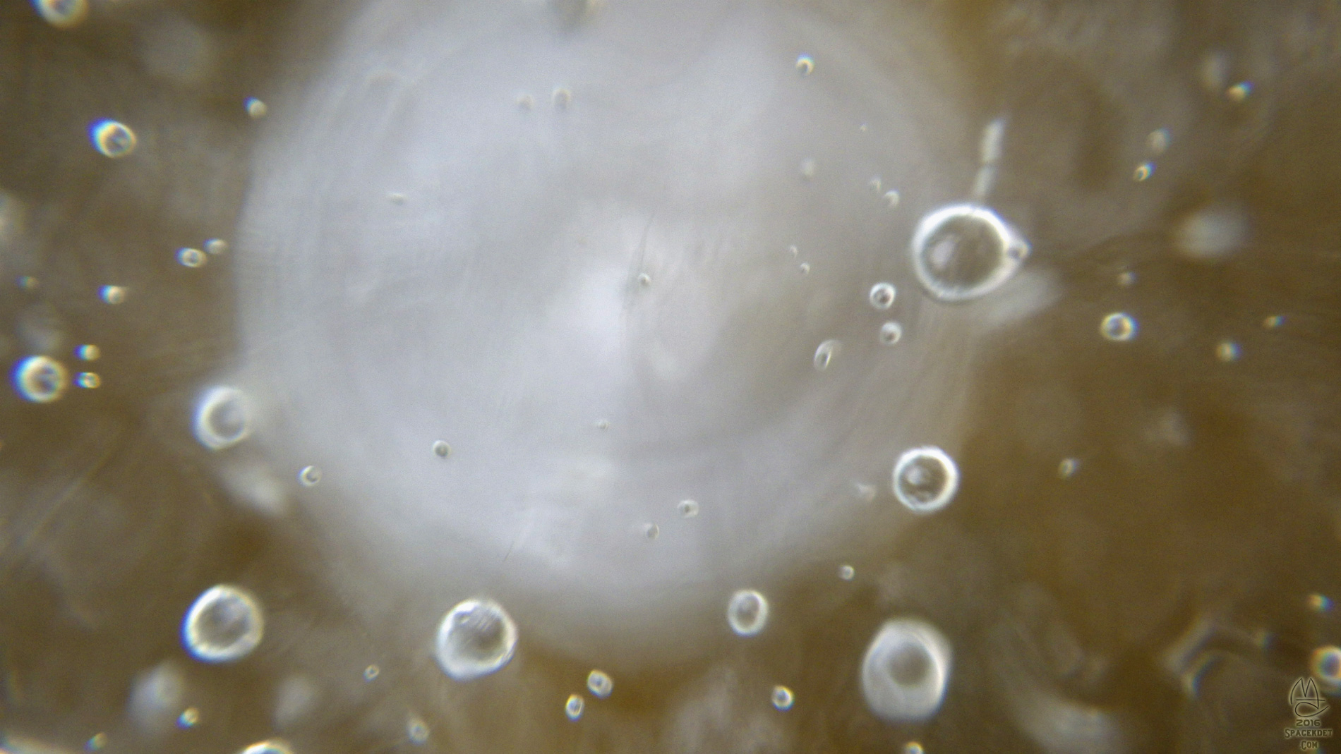 Macro. Bubbles trapped in ice.