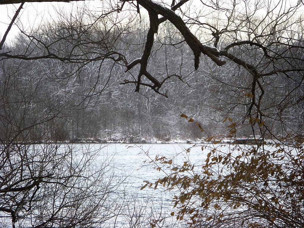 Winter comes to Commerce Lake. Compare this view to what it looked like in July.