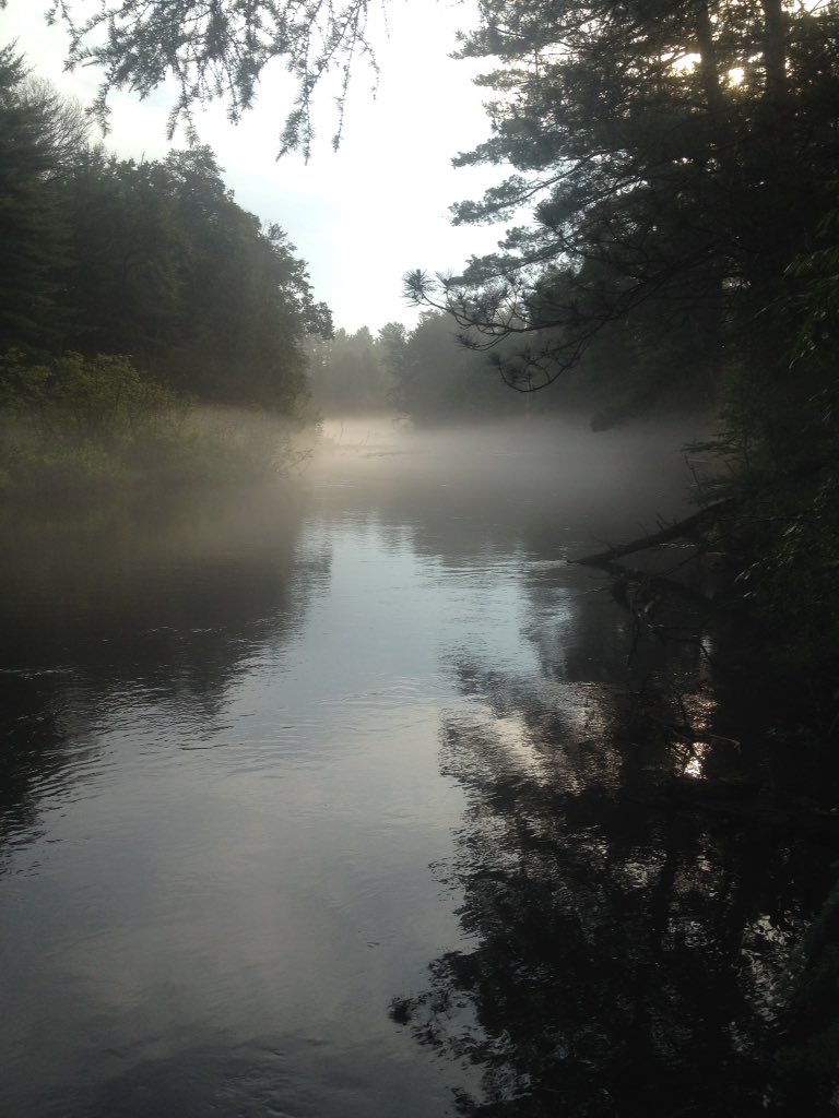 Manistee mist