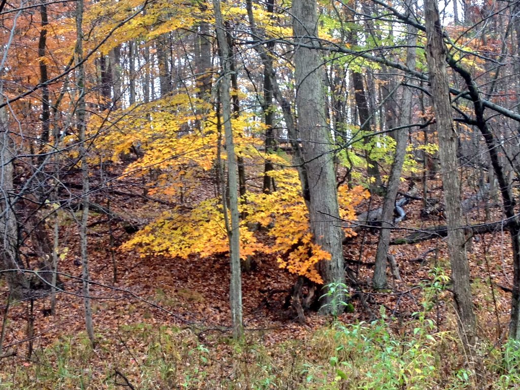 Highland recreation Area, Highland, Michigan