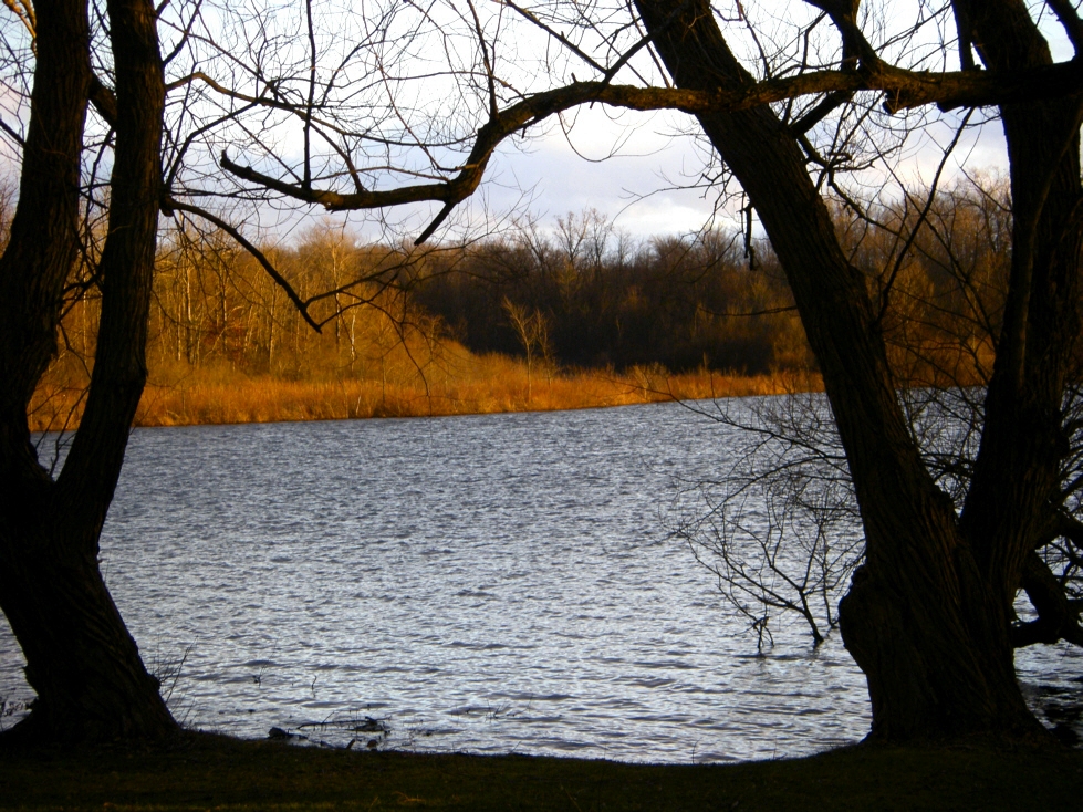 Zoom test, looking southeast