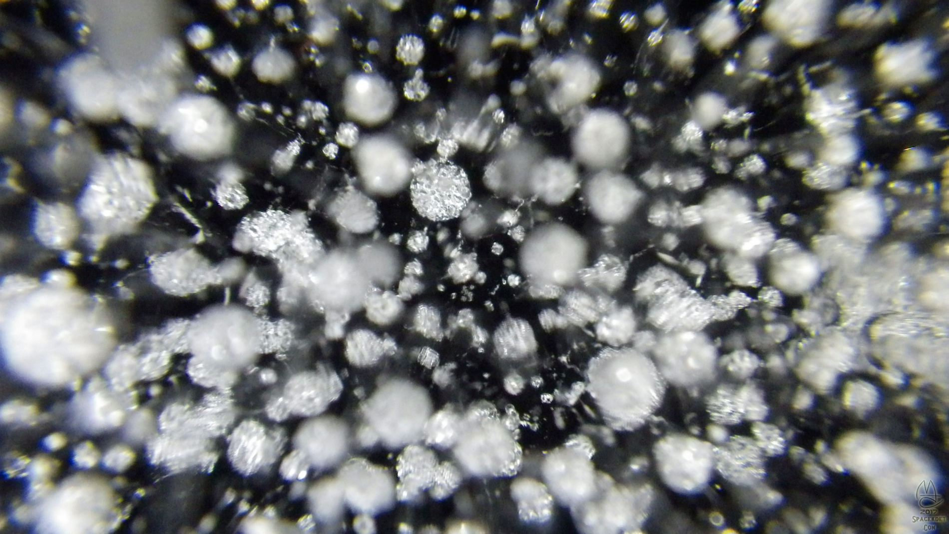 Night macro bubbles.