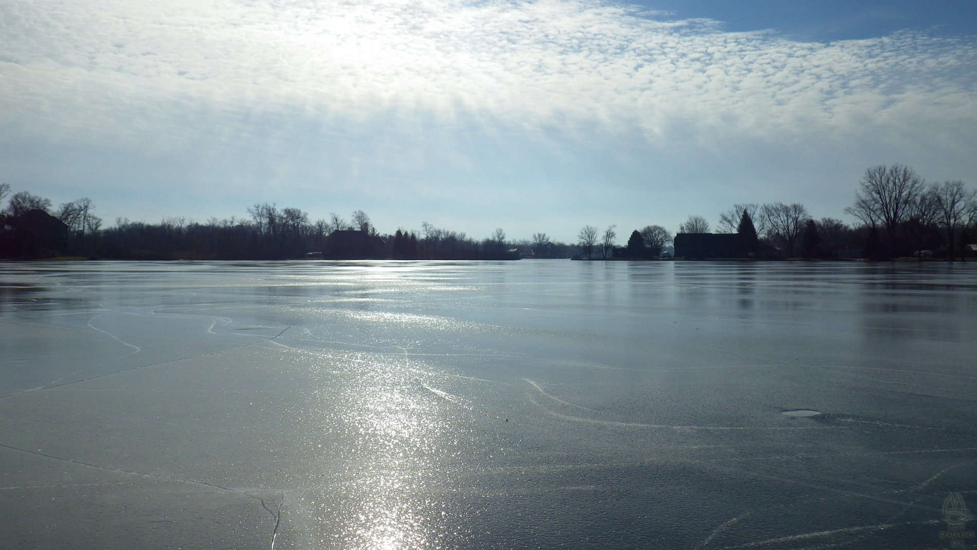 Sunny day skate.