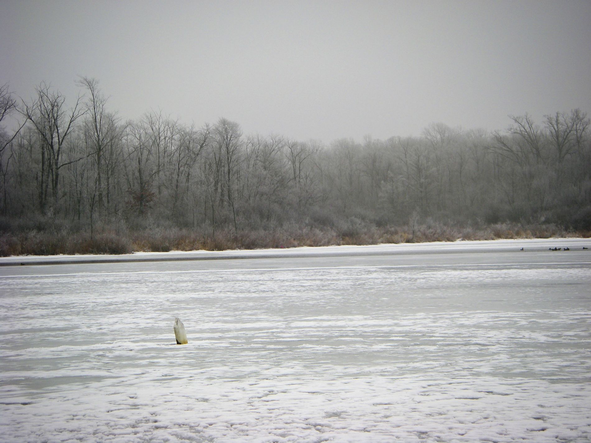 No mooring at any time on this buoy.