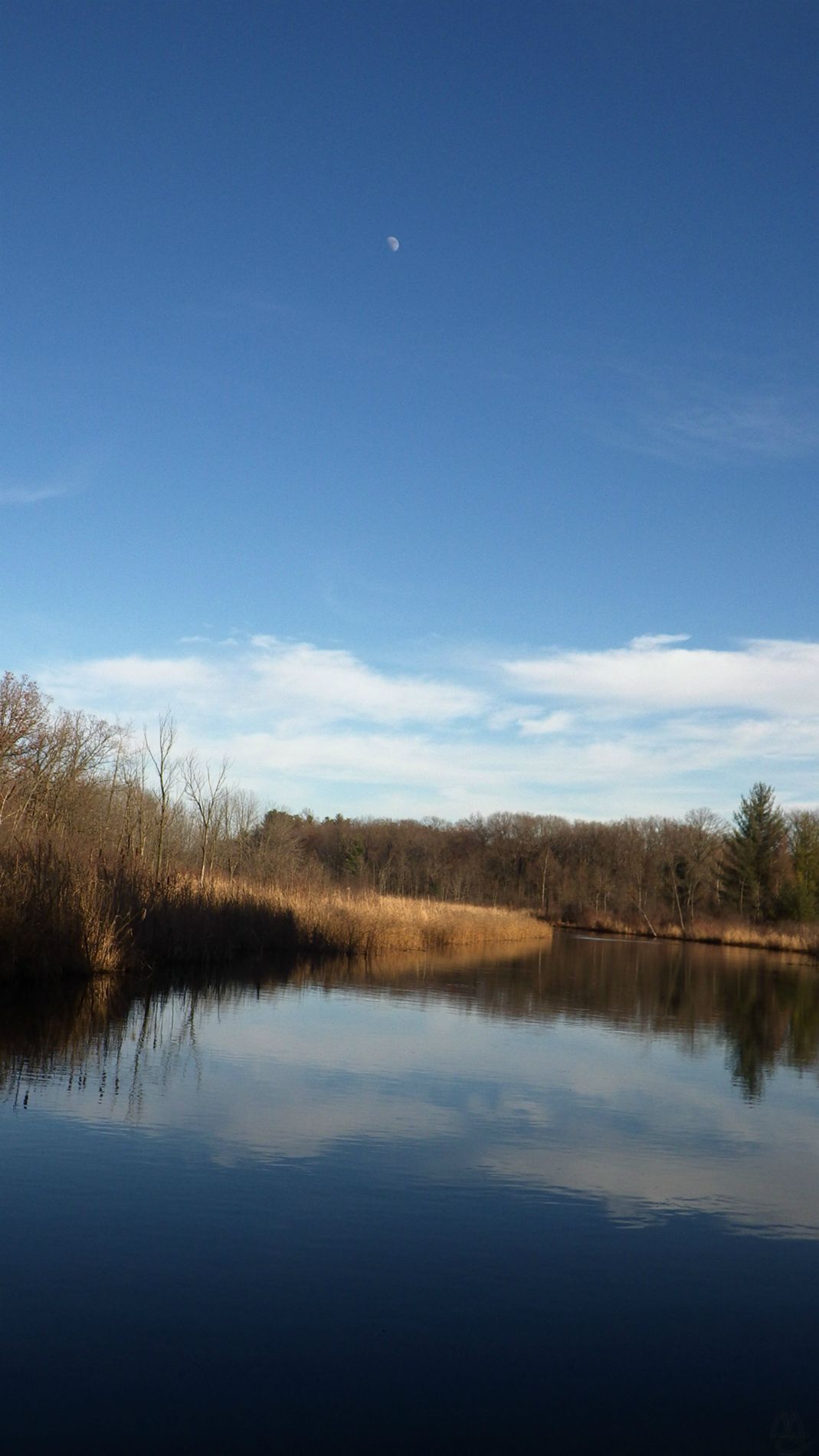 Huron River, Proud Lake SRA, MI