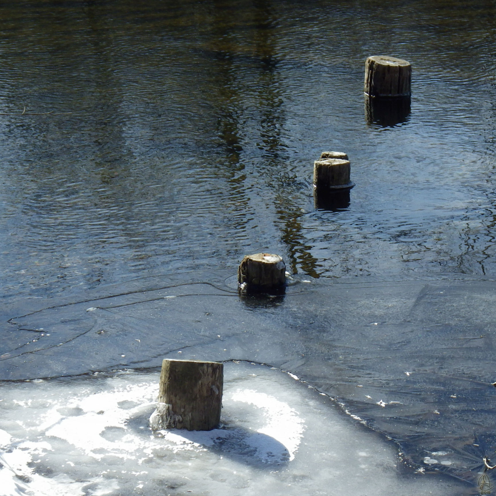 Pier and ice shelf