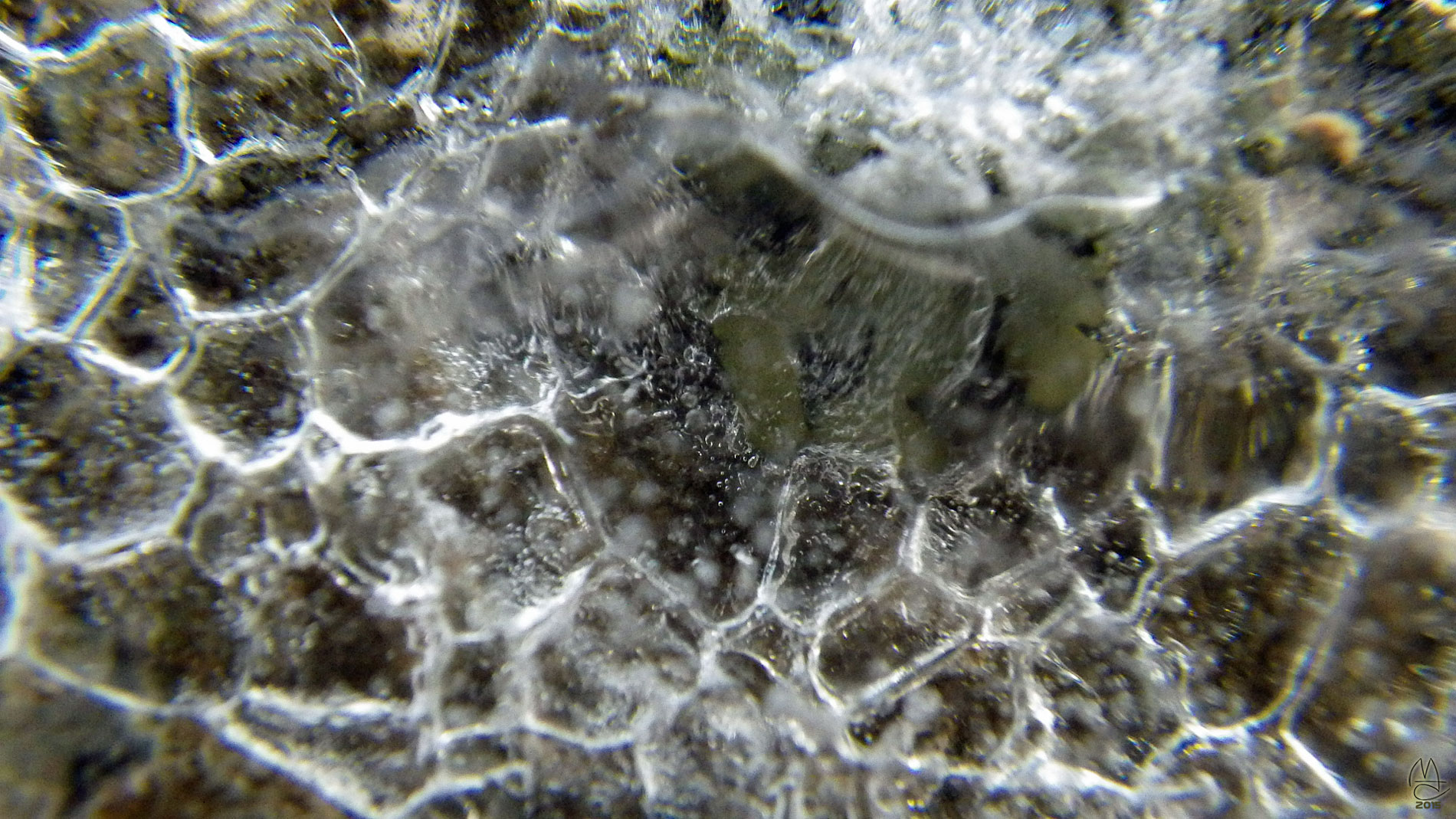 Glacial erratic and ice detail