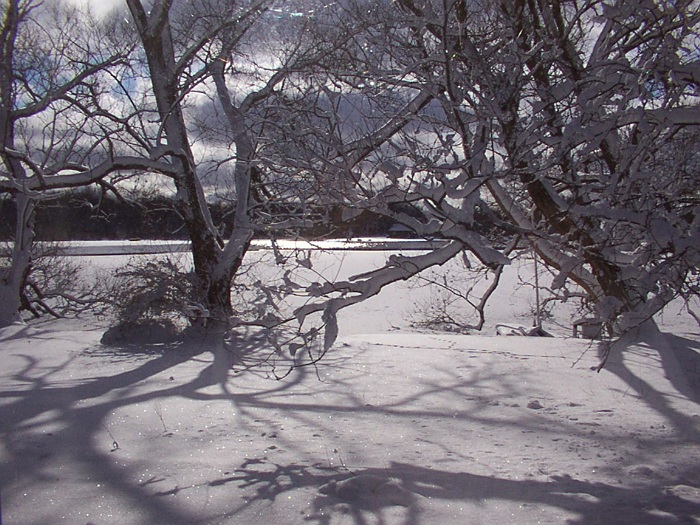 Sunglint on open water