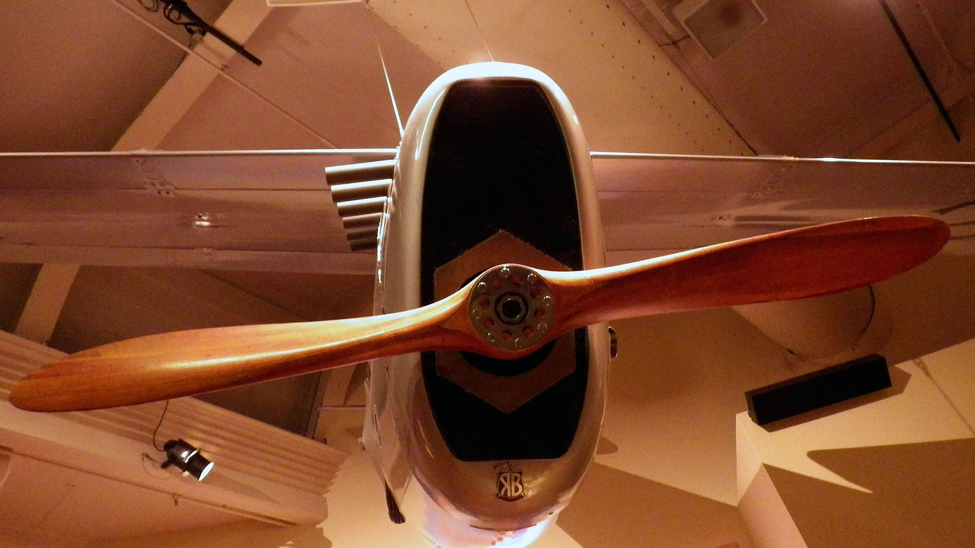 Racing plane, doomed pigeon's eye view.