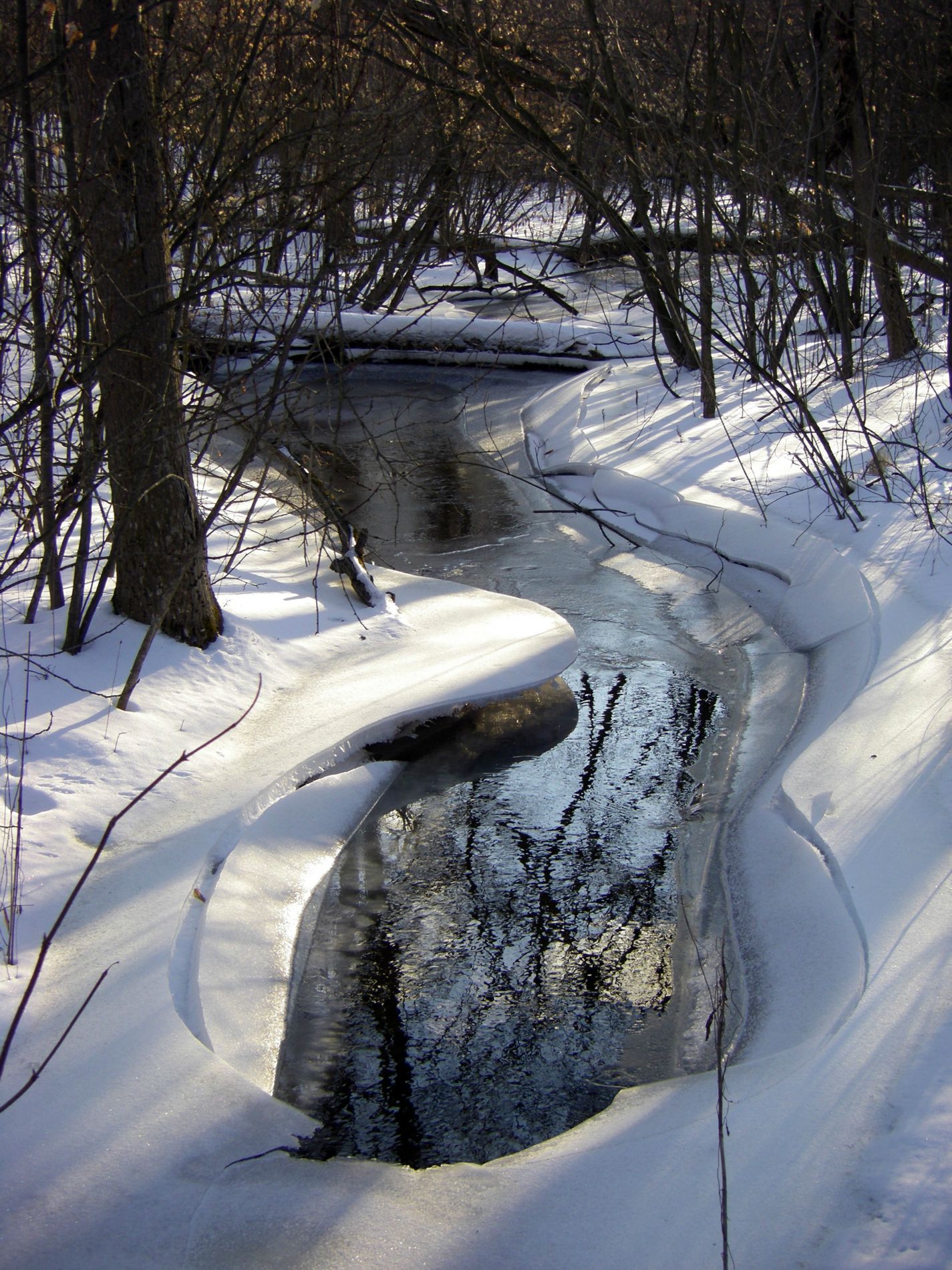 The creek.