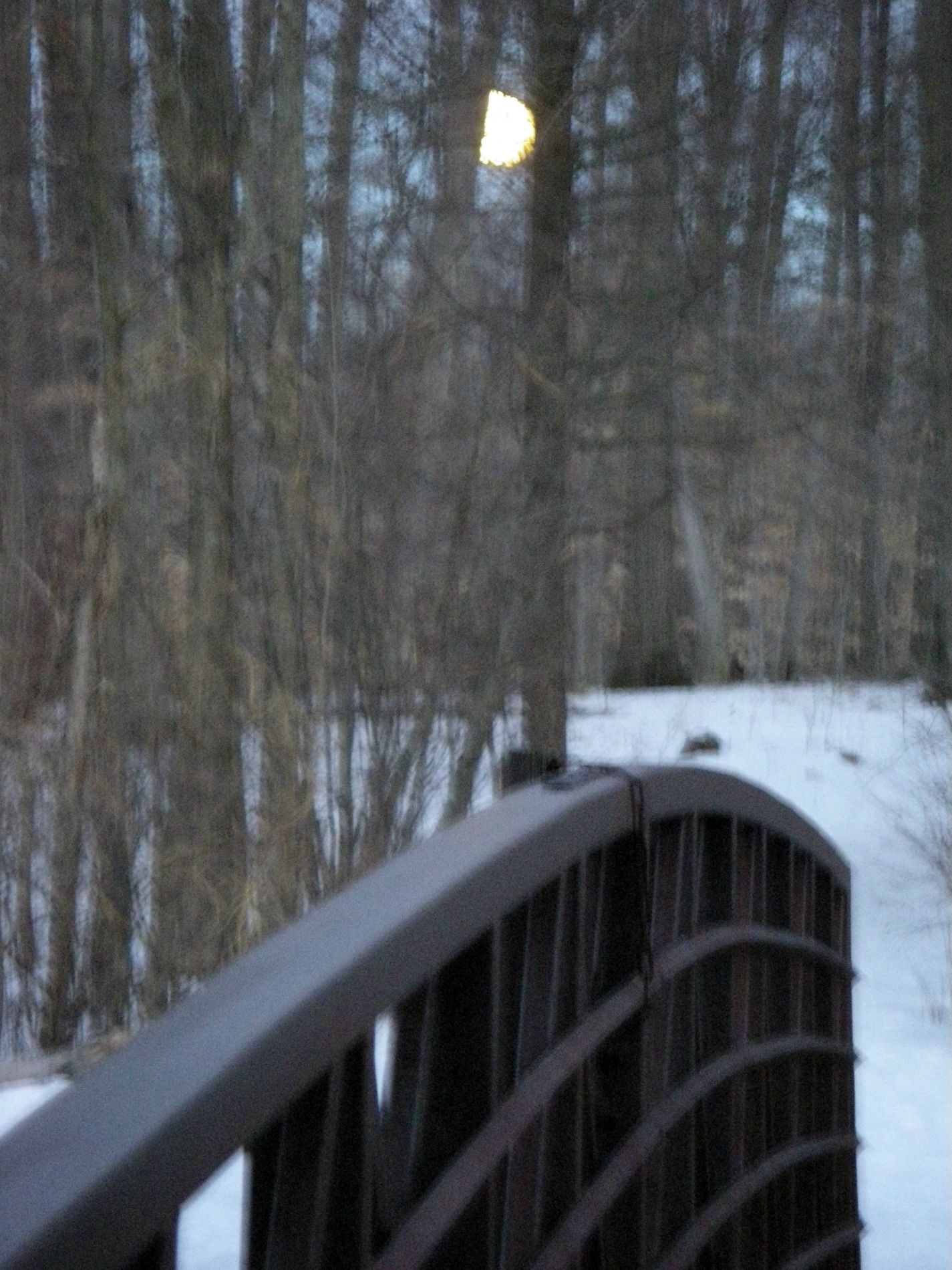 Huron footbridge moonrise.
