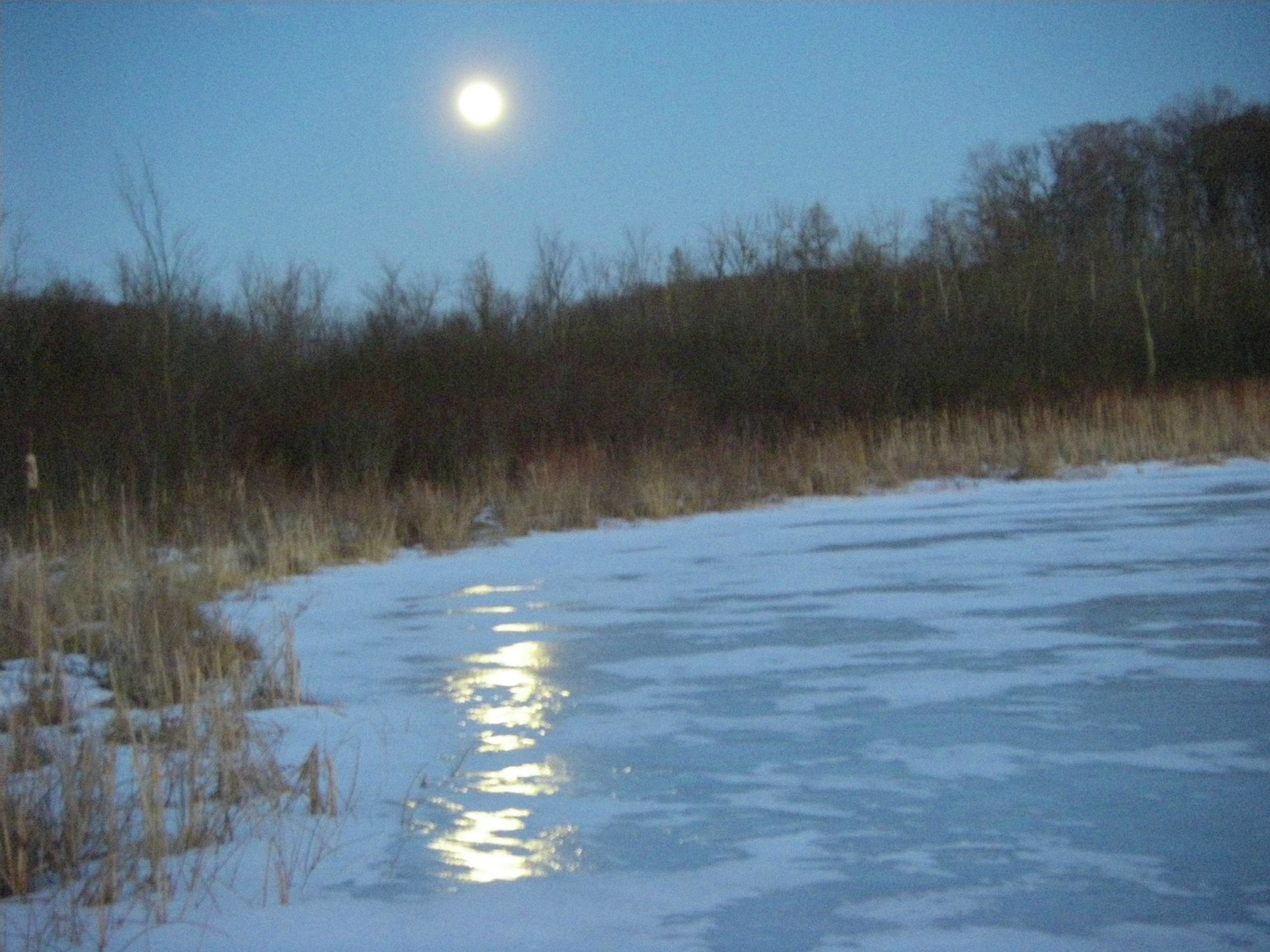 Moss Lake moonrise.