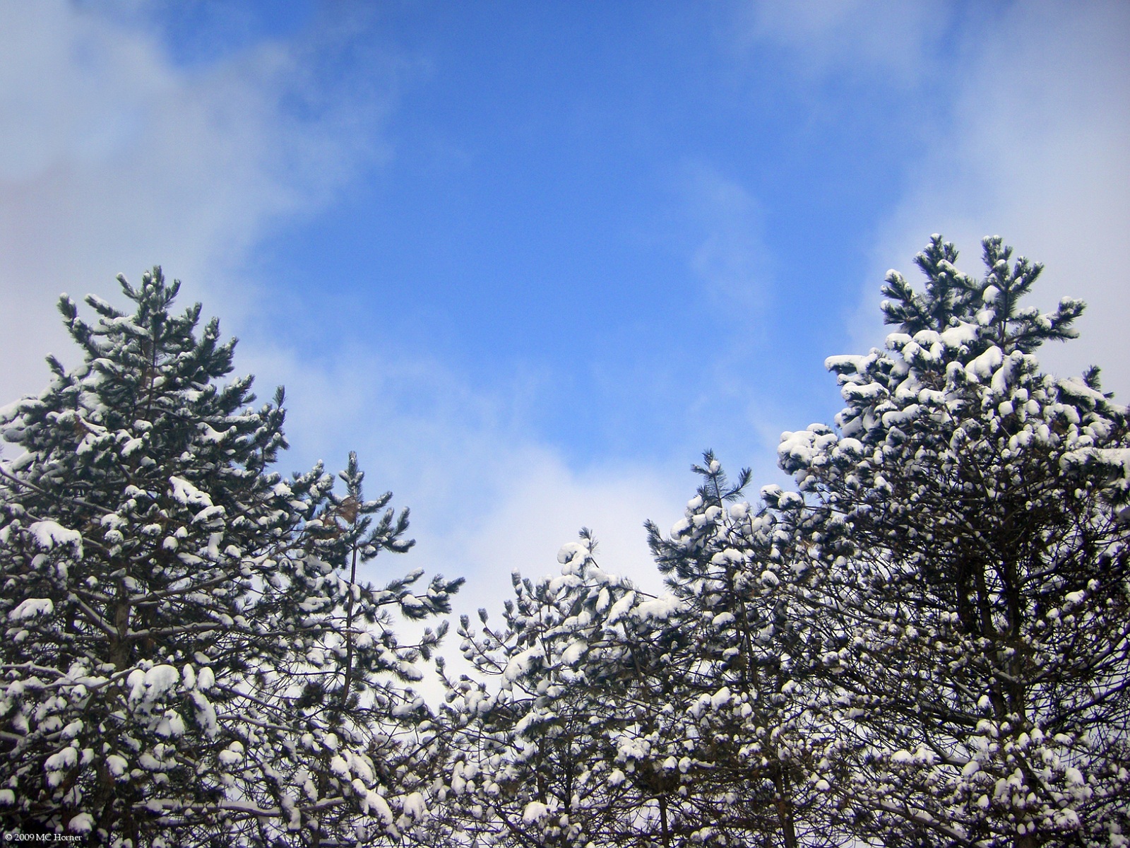 Winter sky.