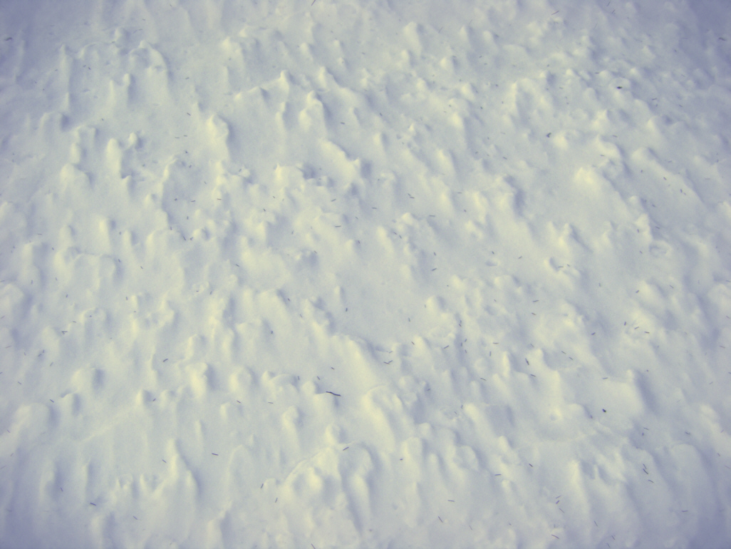 Snow texture tile.