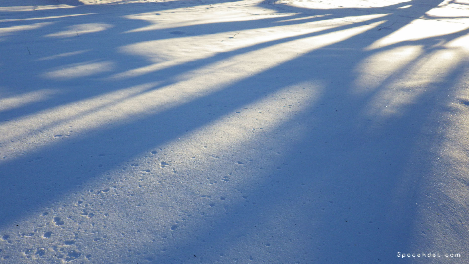 Short afternoons, long shadows.