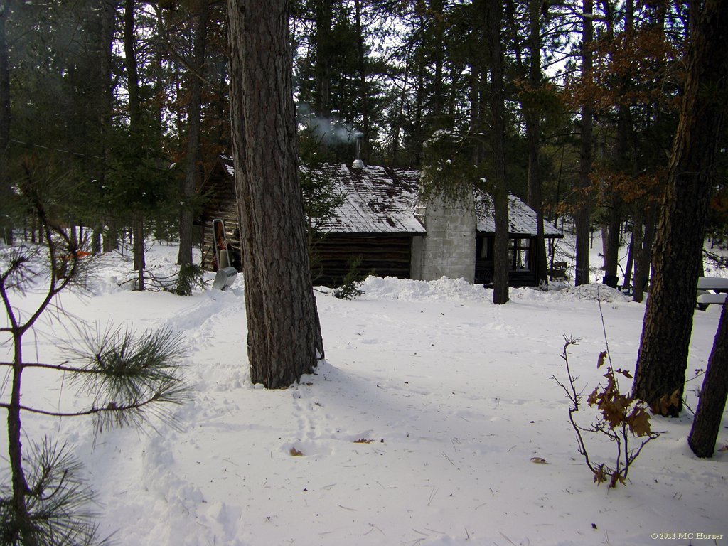 Cabin in the pines.