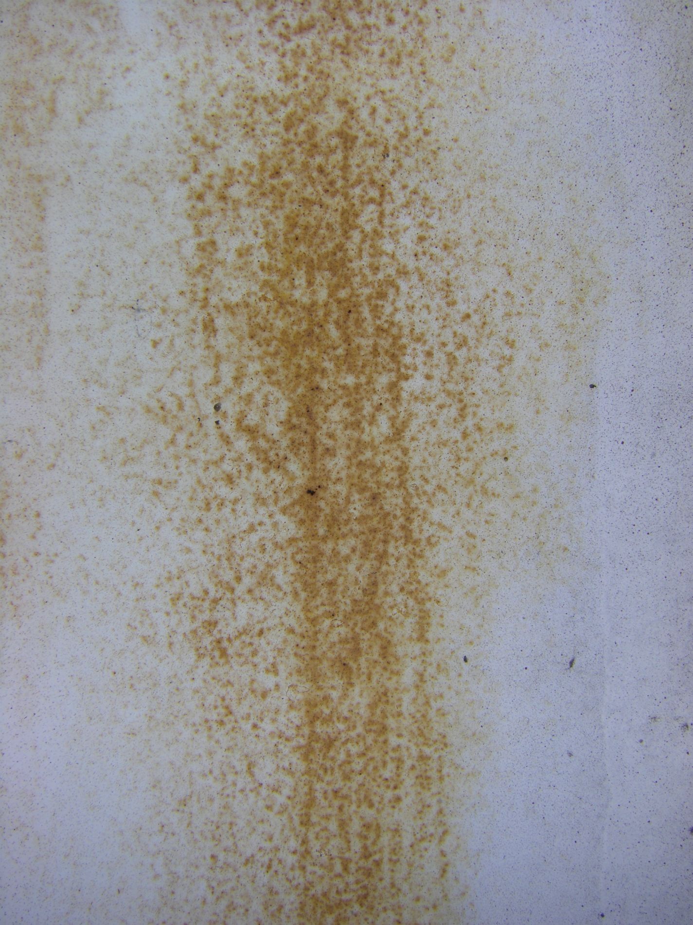 Rusty White Paint No. 3