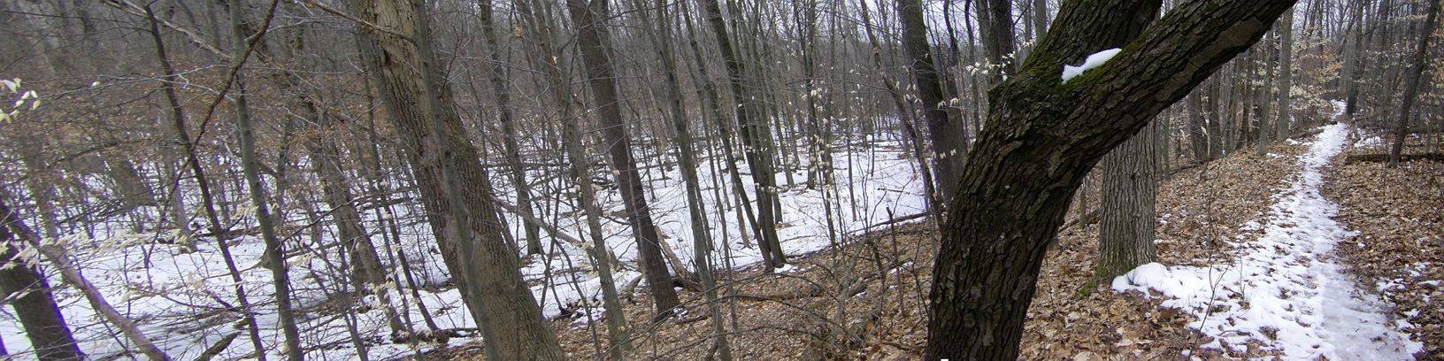 Ridge Pano.