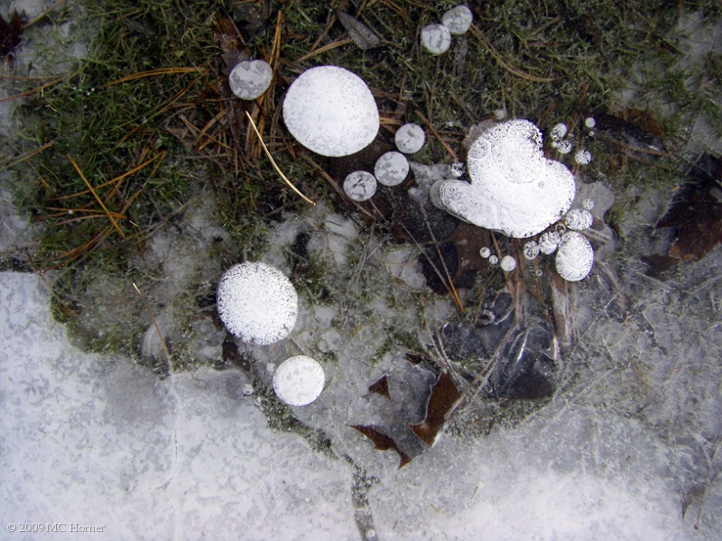 Needled Bubbles.