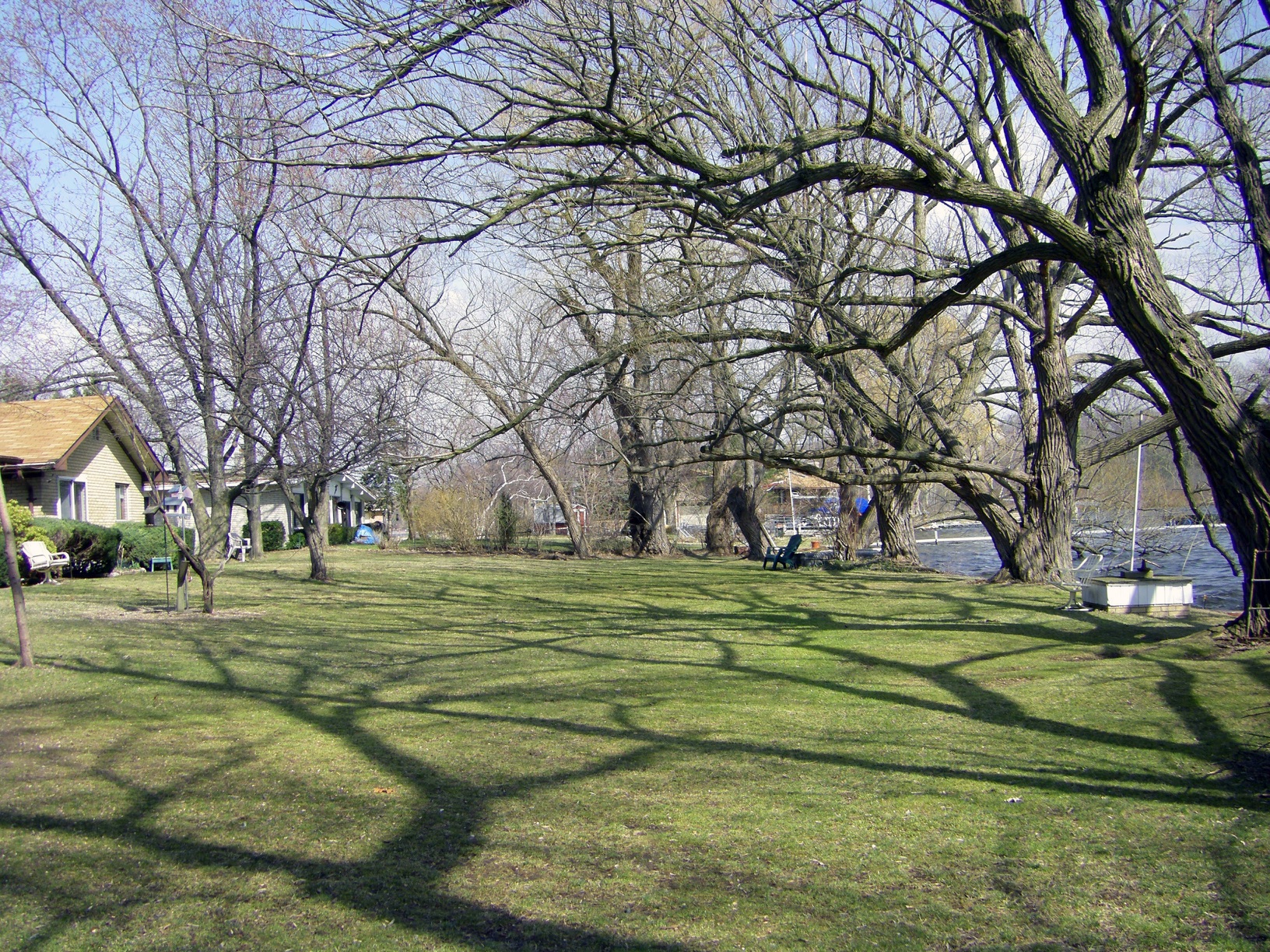 Yard is sunny in early Spring before the trees leaf out.