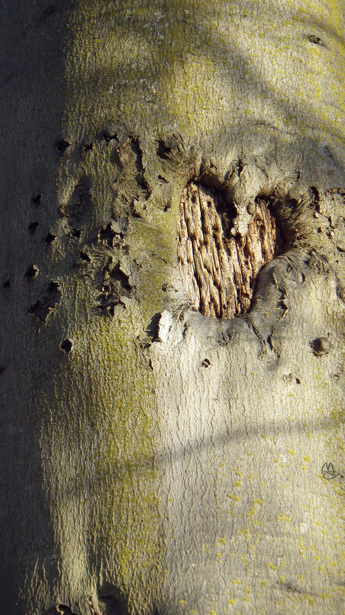 Carved heart.