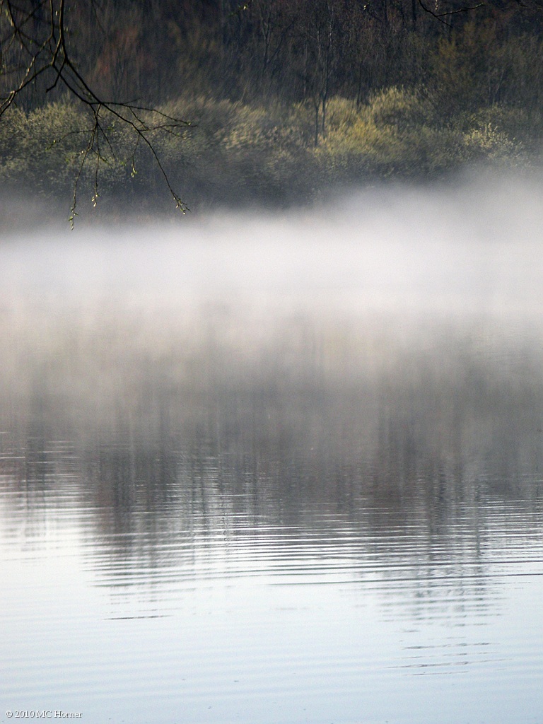 Swamp Breath.