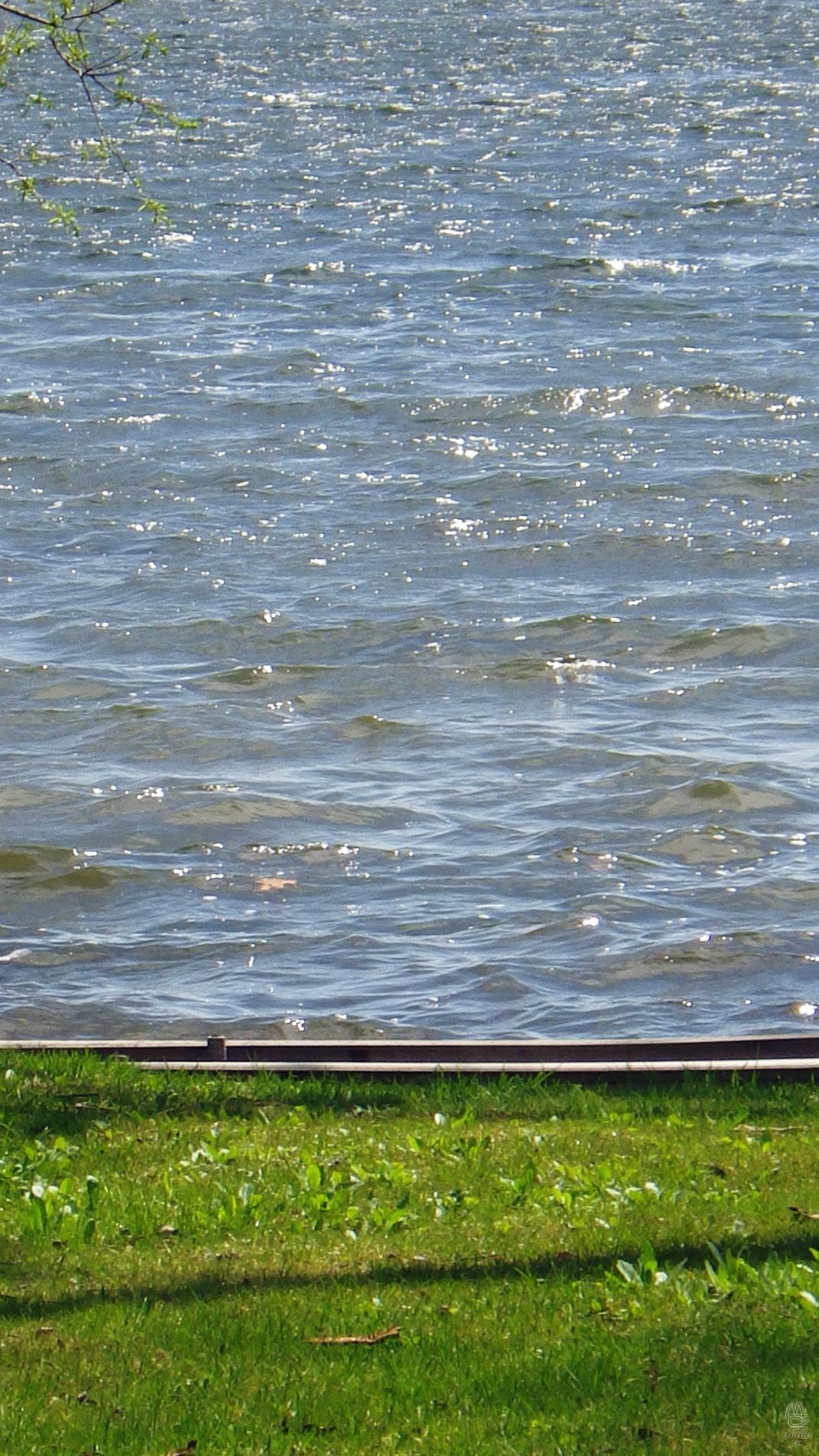 Michael row the boat ashore.