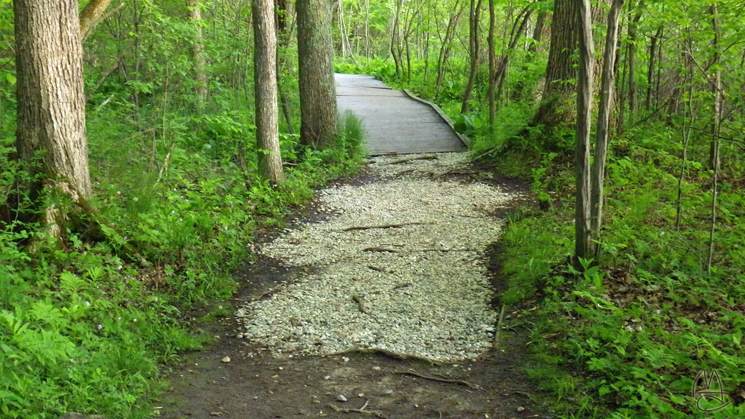 New stone laid on trail.