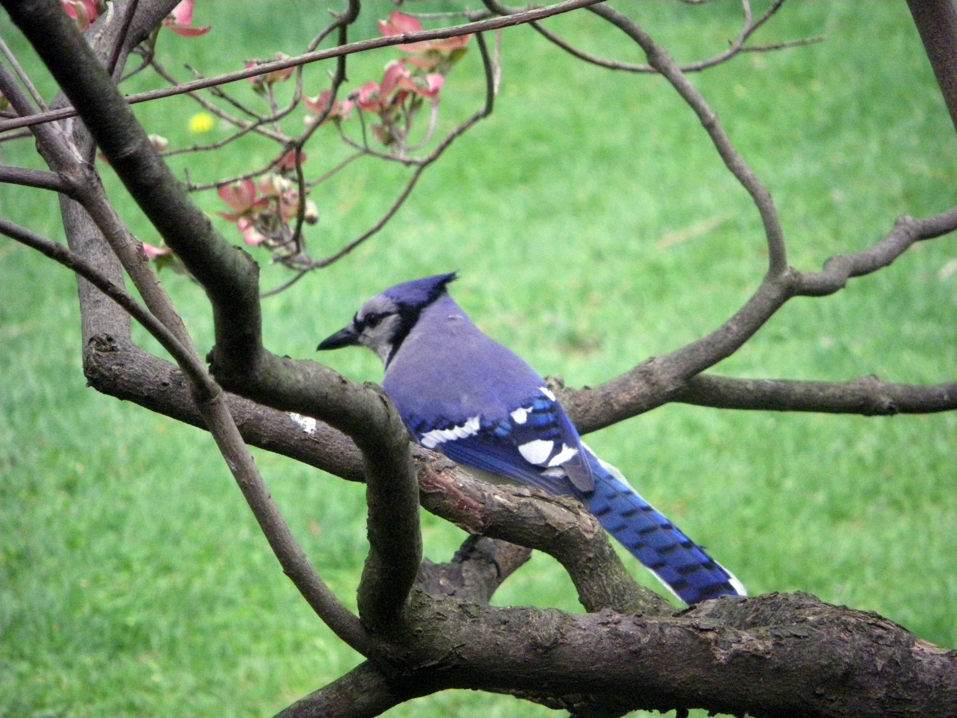 Well, I'm headed back to the feeder.