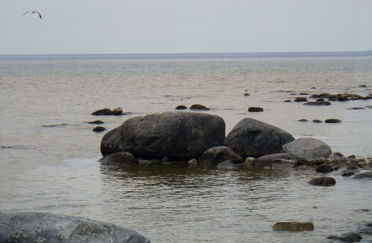 Out on the point. Tip of the Leelanau Peninsula.